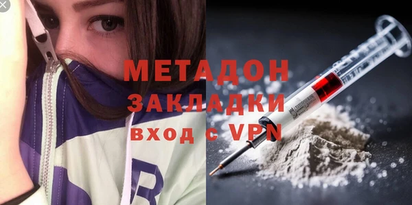 гашик Алексин