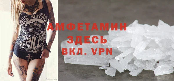 гашик Алексин