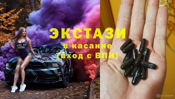 гашик Алексин