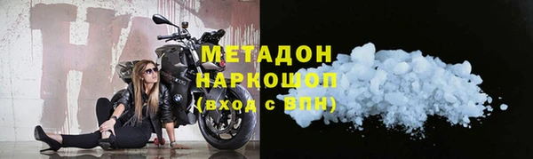 гашик Алексин