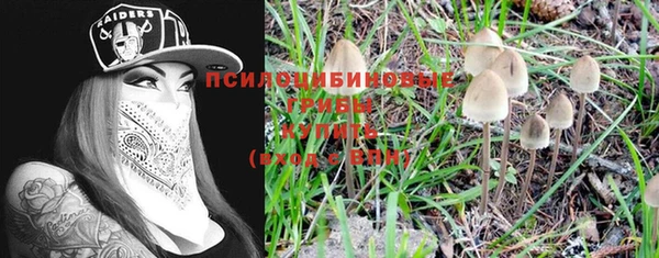 гашик Алексин