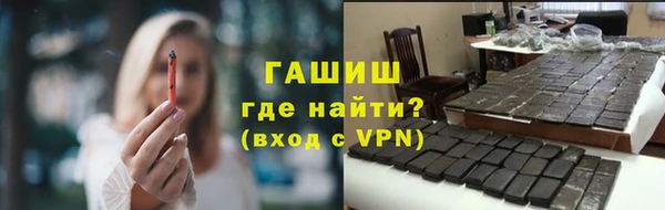 гашик Алексин