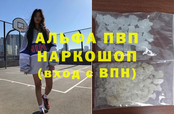 гашик Алексин