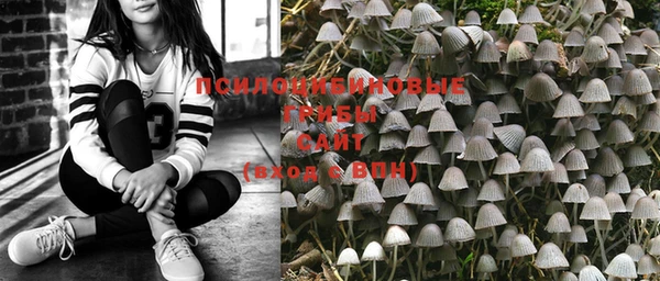 PSILOCYBIN Мегион