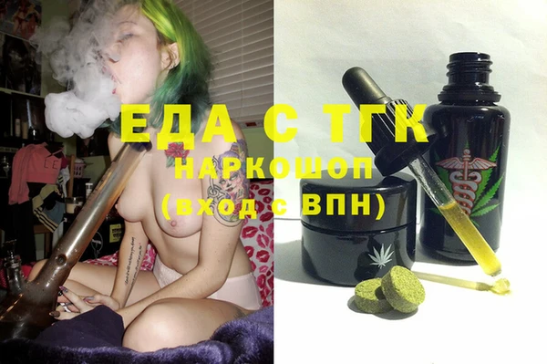 гашик Алексин