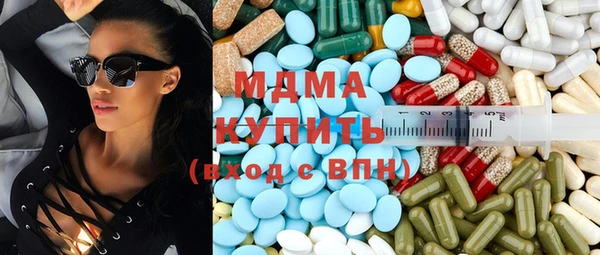 гашик Алексин