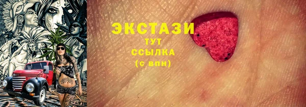 гашик Алексин