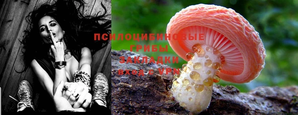 спайс Алексеевка