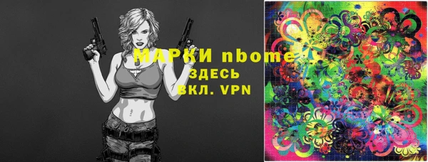 гашик Алексин