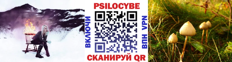 Псилоцибиновые грибы Psilocybe  где найти   Жуковский 