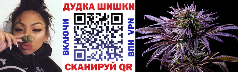 как найти закладки  Жуковский  Конопля индика 